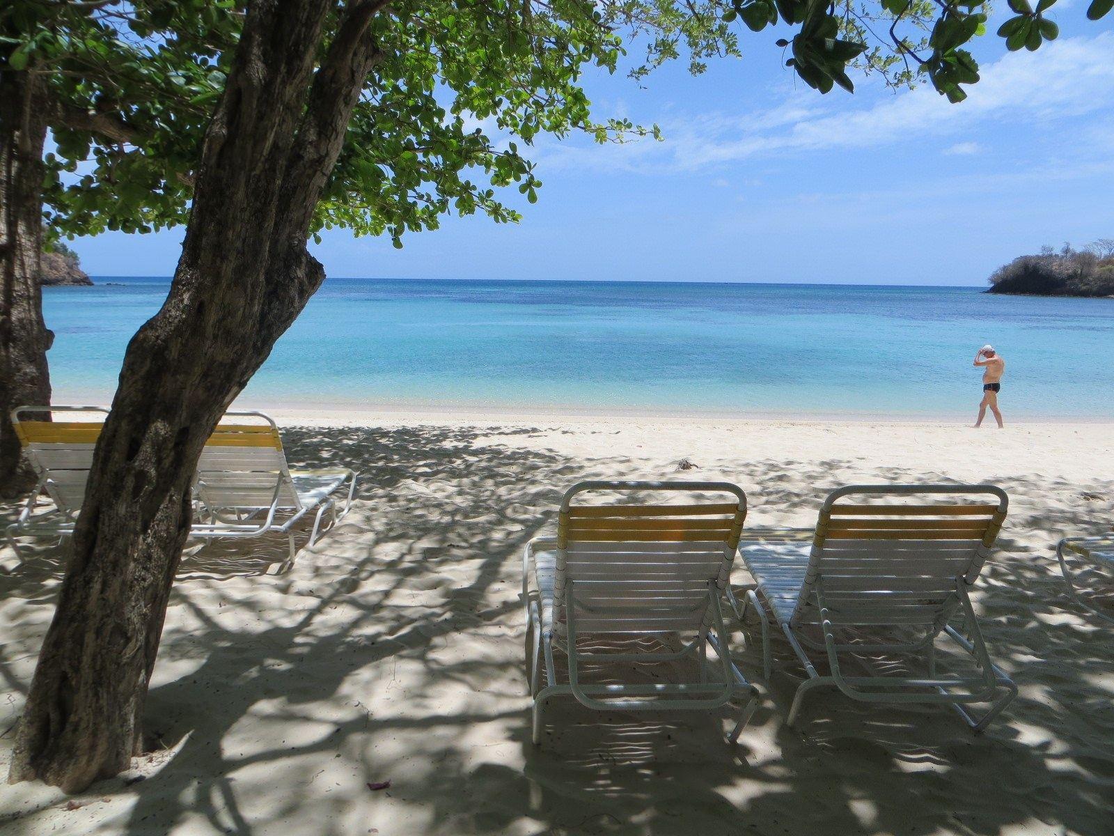 Beach chairs in the shade of a tree on a calm beach in St. George, Grenada