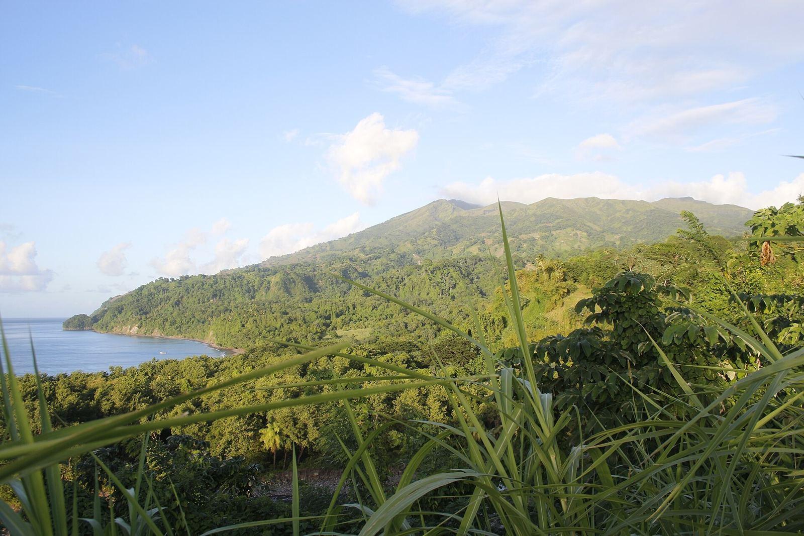 Forested hills of the leeward coast of St. Vincent, with La Soufrière in the distance