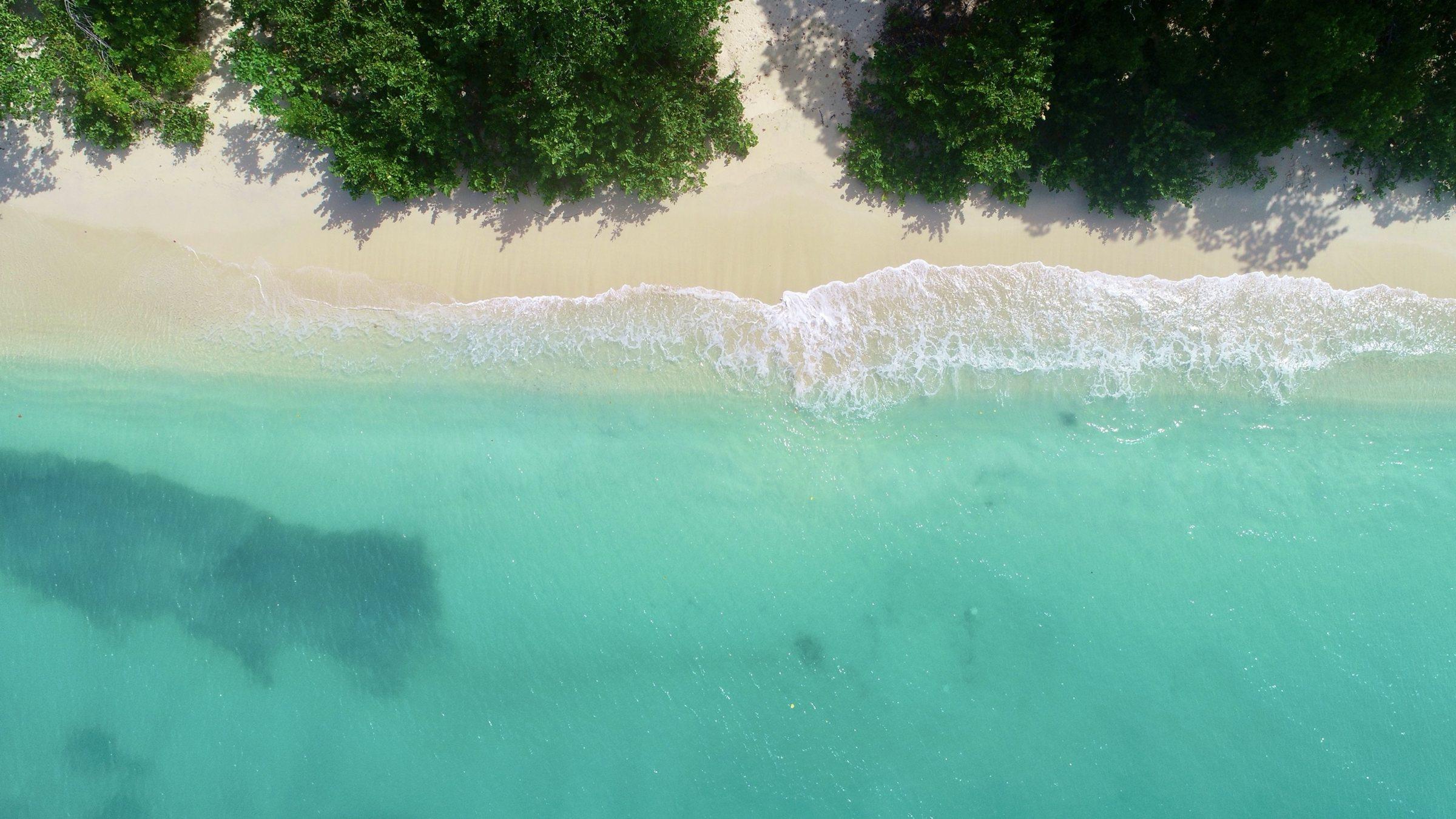 Looking straight down on turquoise water breaking on a white-sand beach lined with green trees in Grenada
